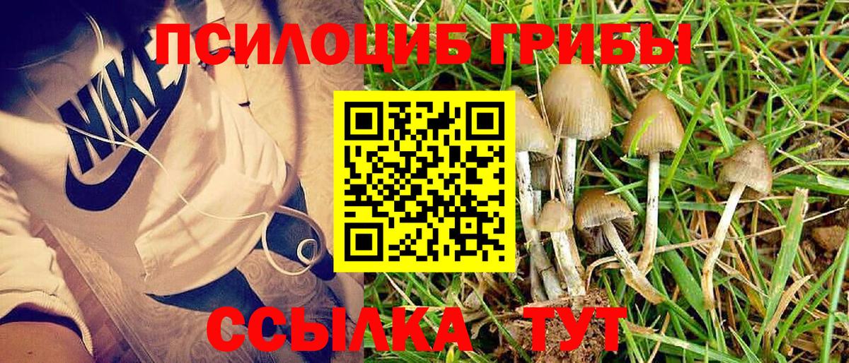 Псилоцибиновые грибы Magic Shrooms Надым