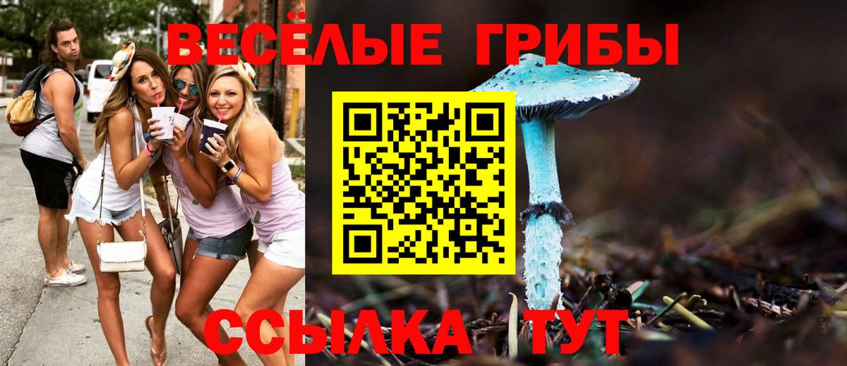 Галлюциногенные грибы ЛСД  Вход с VPN  Надым 